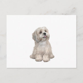 Cartão Postal Lhasa Apso (C) - Dourado claro
