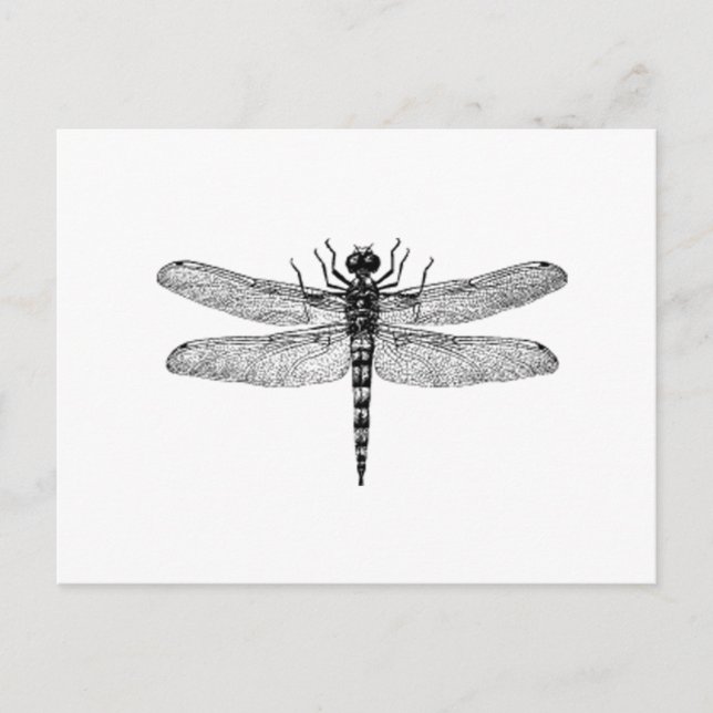 Cartão Postal Libélula bonita & simples do vintage (Frente)