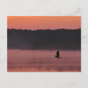 Cartão Postal Liberdade