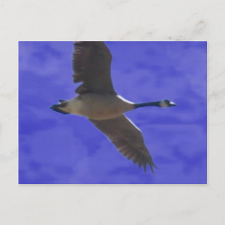 Cartão Postal Liberdade Chamando