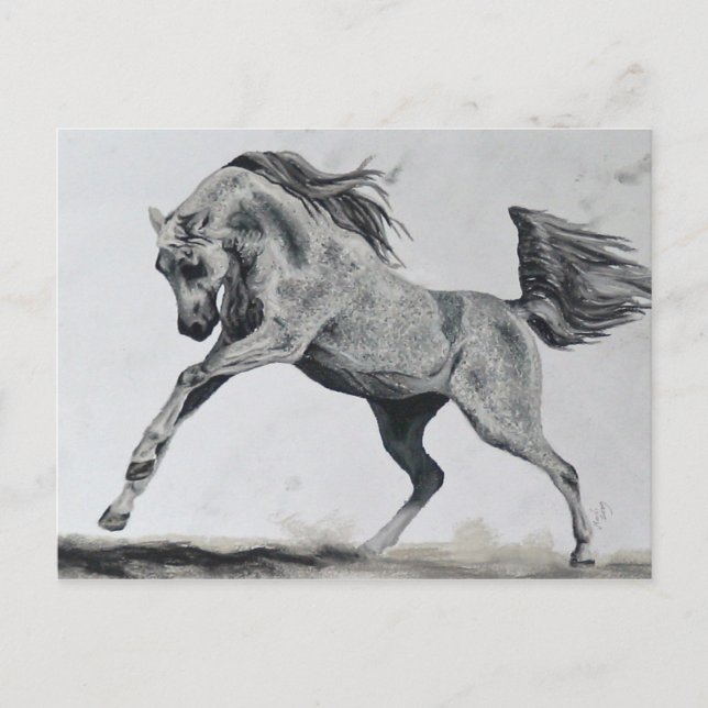 Cartão Postal Liberdade de espírito (Frente)