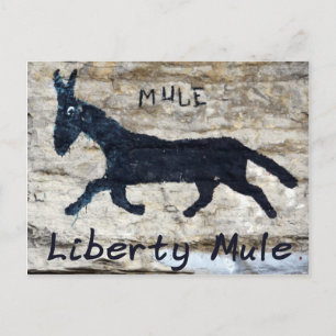 Cartão Postal Liberty Mule - Liberdade, TN