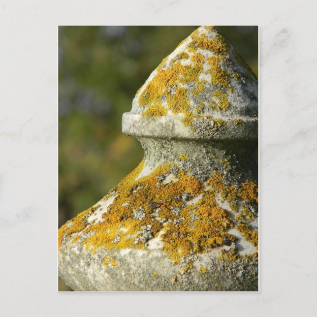 Cartão Postal Lichen Cemitério Obelisk coberto (Frente)