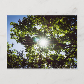 Cartão Postal Lichtblick