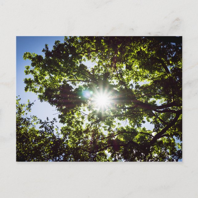 Cartão Postal Lichtblick (Frente)