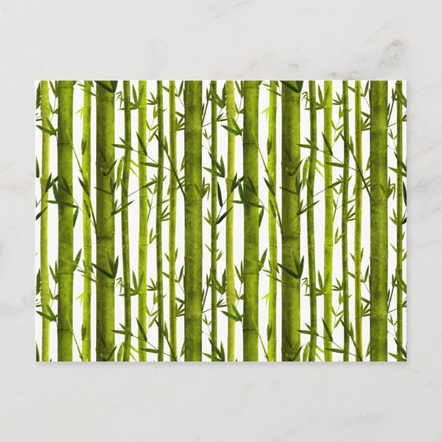 Cartão Postal Lições Bamboo (Frente)