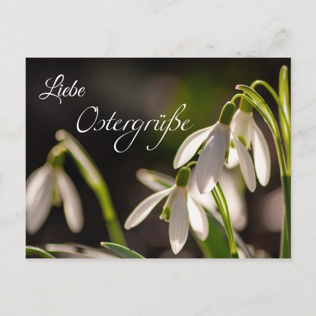 Cartão Postal Liebe Ostergrüße aus dem Briefkasten (Frente)