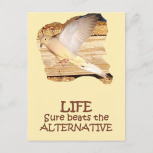Cartão Postal LIFE—Porta Voadora