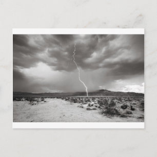 Cartão Postal Lightning Joshua Tree B&W