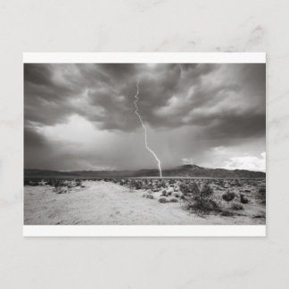 Cartão Postal Lightning Joshua Tree B&W