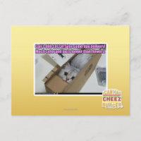 Ligue para 1-800-LOLCATS