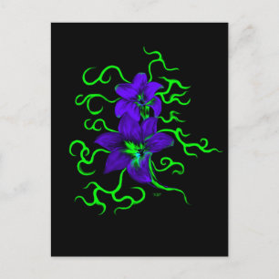 Cartão Postal lila Lírio Flor