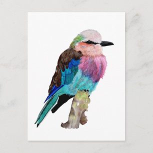 Cartão Postal Lilac Brested Roller Bird