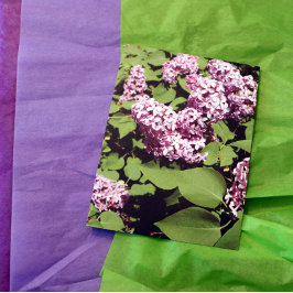 Cartão Postal Lilac Love