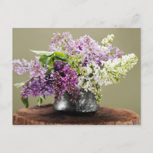 Cartão Postal lilases