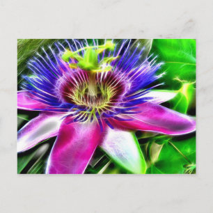 Cartão Postal Lilikoi ou Flor de Paixão