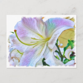 Cartão Postal Lilium "Casa Blanca" ポ ス ト Equipe ド