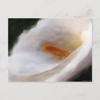 Cartão Postal Lilly do Cartão-Postal do Nilo