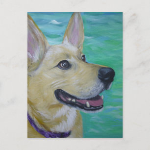 Cartão Postal Lilly por um rio