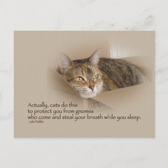 Cartão Postal Lily #1 (Frente)