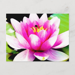 Cartão Postal Lily de água rosa