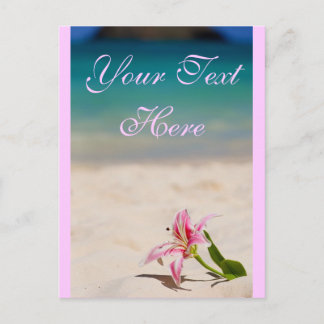 Cartão postal Lily de praia rosa