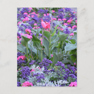 Cartão Postal Lily-de-rosa-rosa no jardim de primavera