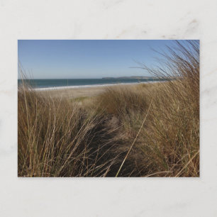 Cartão Postal Limantour Beach em Point Reyes National Seashore I