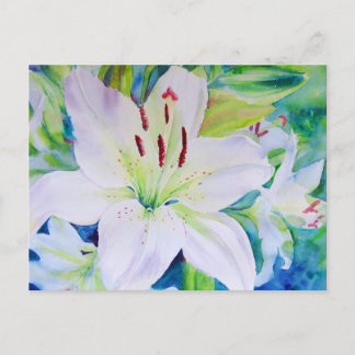 Cartão Postal Limão Zest