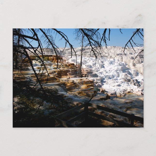 Cartão Postal Limestone terrace Mammoth Hot Primavera Yellowston (Frente)
