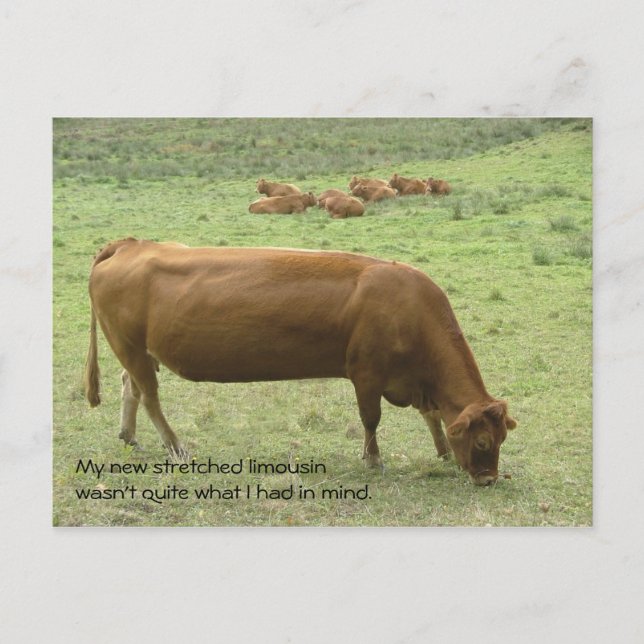 Cartão postal limo estendido (Frente)