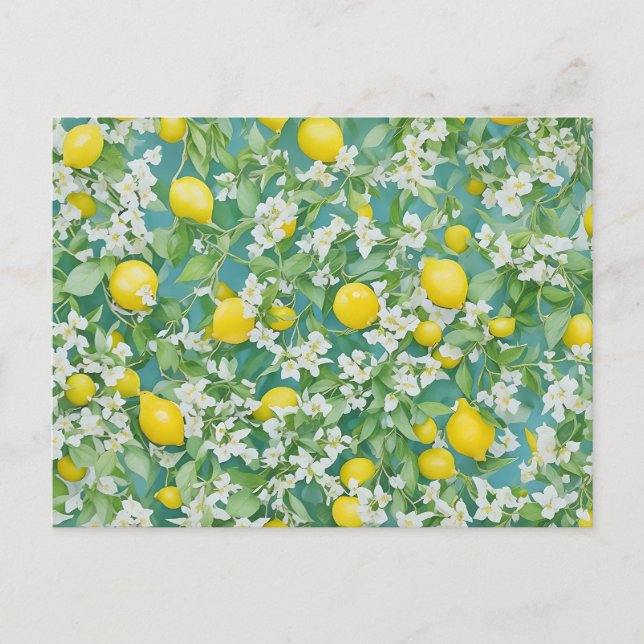 Cartão Postal Limões e Flores Brancas (Frente)
