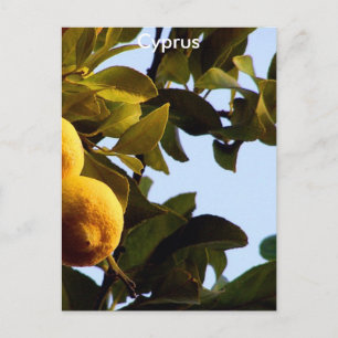 Cartão Postal Limon Grove
