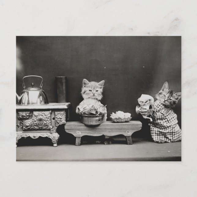 Cartão Postal Limpando o bule (Frente)