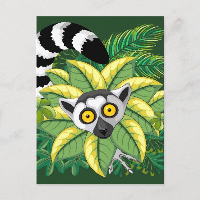 Cartão Postal Limures de Madagáscar na selva exótica (Frente)