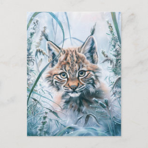 Cartão Postal Lince Pequeno no Bosque Nevado