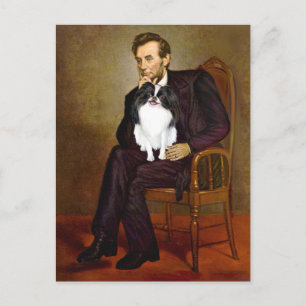 Cartão Postal Lincoln - Japonês Chin 2