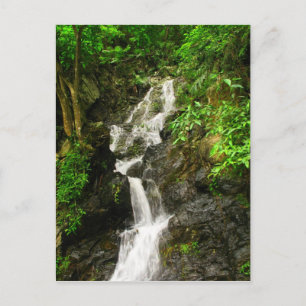 Cartão Postal Linda cachoeira em uma floresta verde