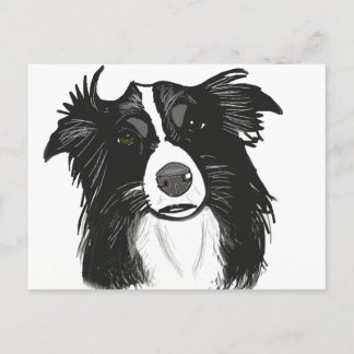 Cartão Postal Linda Collie de Borda Branca e Preta