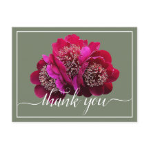 Linda Crimson Colour Backdrop Obrigado