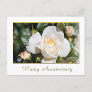 Cartão Postal linda flor de rosa branca feliz aniversário