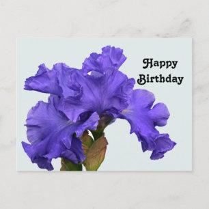 Cartão Postal Linda Foto Floral de Íris Roxa de Aniversário