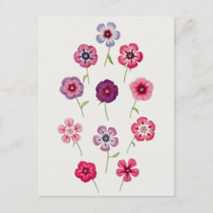 Cartão Postal Linda Ilustração Botânica Vintage