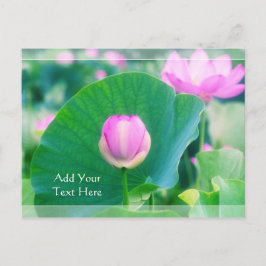 Cartão Postal Linda lente rosa Lotus Butus Flor Verde Folha Flor