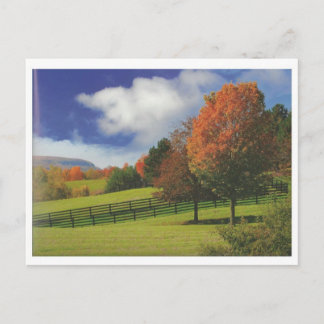 Cartão Postal Linda paisagem canadense Niagara: BAIXO Presente