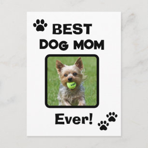 Cartão Postal Linda Personalizar Melhor Mãe de Cachorro Gato Mãe