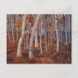 Cartão Postal Linda pintura canadense Tom Thomson White Birches