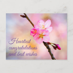 Cartão Postal Linda Postcard de Flor de Cerejeira Sakura