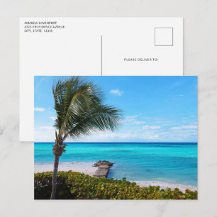 Cartão Postal Linda Praia Tropical Arejada Palmeira