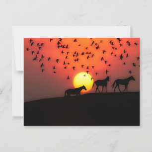 Cartão Postal Linda Silhouette Sunset